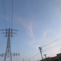 此の頃の散歩