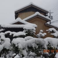 まだ生きていました