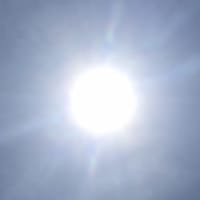 むごい殺戮行為