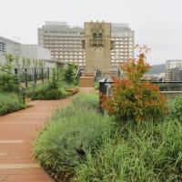 万博のついでに京都旅