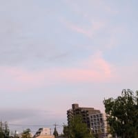 月曜日　１８日です・・