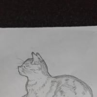皆さんありがとう。さようなら。