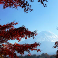 秋の富士山