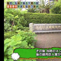 ミスター長嶋茂雄さん