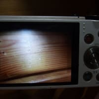 古いデジカメを引っ張り出す