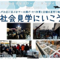 夏休みの社会見学イベント！「小田原寺子屋スクールII」主催、魚がお店に並ぶまで！参加者募集中！