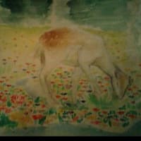 高校2年生の山口さんの個展