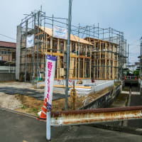 6月8日(日) 日曜日の朝は､モーニングサービス？！