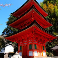 管理人の旅日記131　「滋賀の旅11　竹生島・宝厳寺・三重塔」