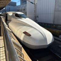 京都旅行(お花見編)