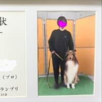 コッパー君入賞