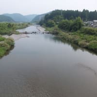 本日の海部川