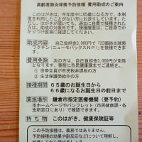 介護保険証とハチノスの中国風炒め物＠鎌倉七里ガ浜自宅厨房