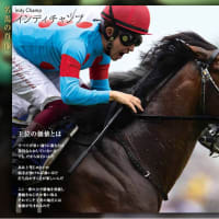 2019年6月2日 第69回安田記念