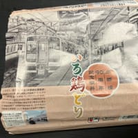 水郡線の開通記念のお弁当。