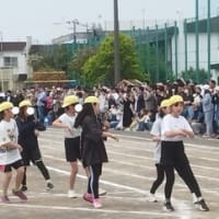 孫の運動会とバスケの試合
