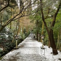 2025年2月3日　白山比咩神社表参道