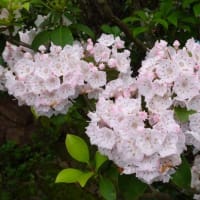 花と緑の振興センター／仏壇は義弟宅へ