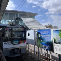 2025年3月30日〜31日　名古屋　松本