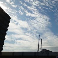 今日の博多３４４　【外国車】