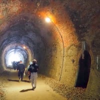 ①軽井沢まで走った　旧信越本線の廃線路　6㎞を歩きます