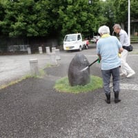 遊歩道のベンチを洗浄