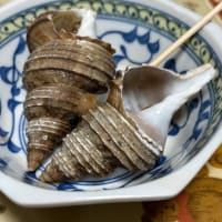 ユニクロデビューだって！