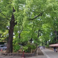 はてなブログ開設について