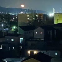 仕事帰りの怪人