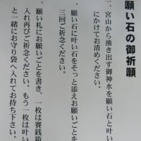 願い石　叶い石　（11/11）