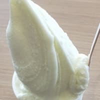 娘がいたら、「バニラ」ちゃんと名付けていたかも