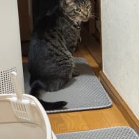 2025/6/30の朝