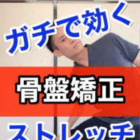 【郡山　坐骨神経痛】ガチで効く！坐骨神経痛を無くすストレッチ【郡山市の整体　常和治療院】#shorts