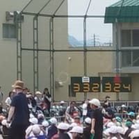 孫の運動会とバスケの試合