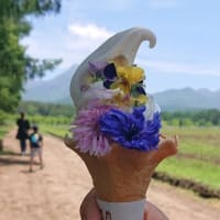 八ヶ岳ガーデンプロジェクトとエディブルフラワーソフトクリーム。