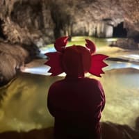 越前浜富潜水部沖永良部島活動報告♬