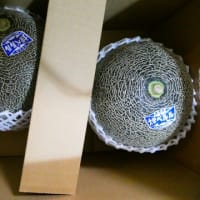 メロンが届きました / 実家へと・・・