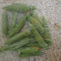 エンドウ豆収穫