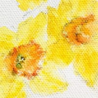 ラッパを鳴らす花
