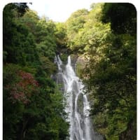 砂の美術館鳥取砂丘へ（10/6）