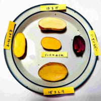 じゃがいも5種食べ比べ