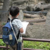 金沢動物園へ