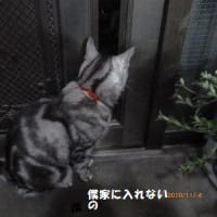 僕家に入れて貰えないの？