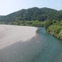 本日の海部川