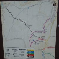 精進口登山道を歩く
