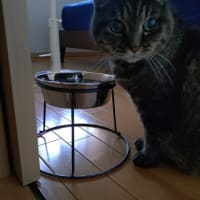 水分補給は大事