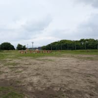 雨のち晴れ