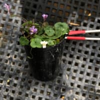 お宝発見