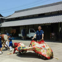 ニシユタカの収穫