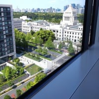 面白かった…衆議院傍聴